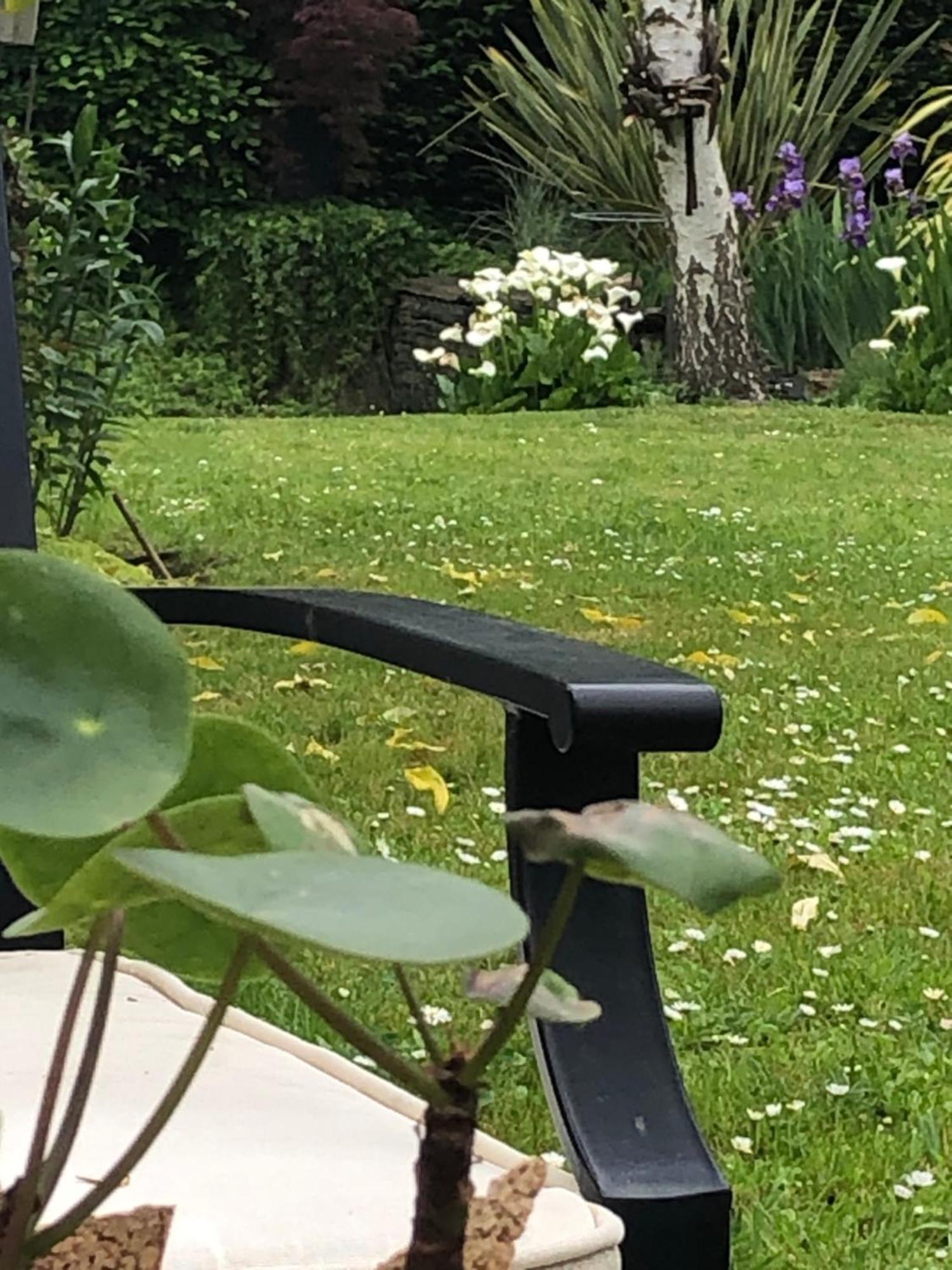 La Thibautiere Bed and Breakfast Blaison Eksteriør billede